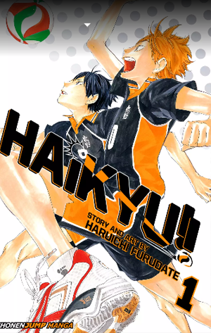 Haikyuu!! Hinata and Kageyama Volume 1